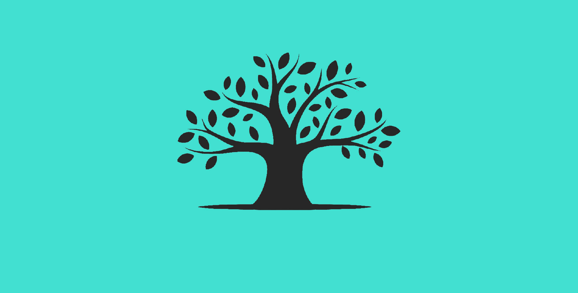 This is a profile image of Kenneth